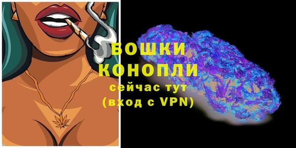 сатива Заволжье