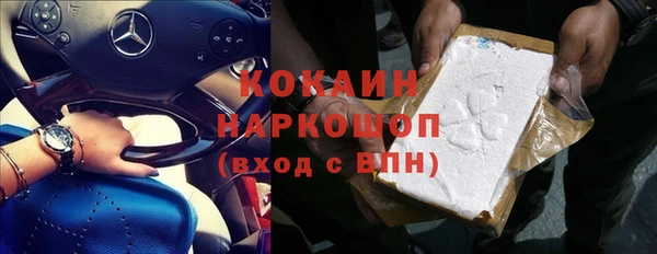 сатива Заволжье