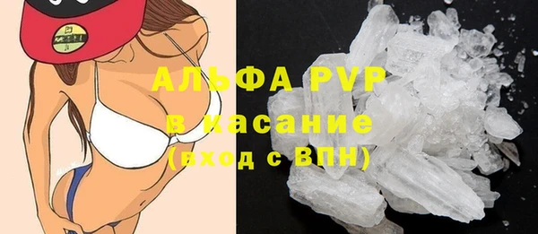 гашик Заводоуковск