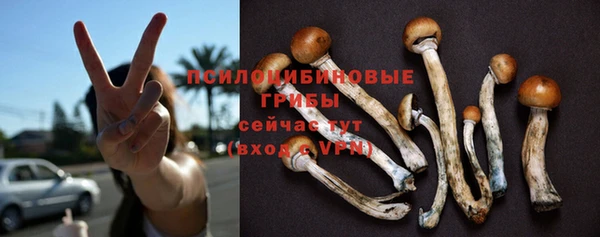 гашик Заводоуковск