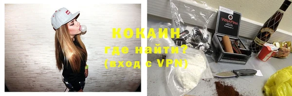 гашик Заводоуковск