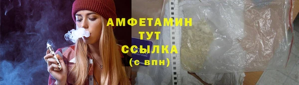 сатива Заволжье