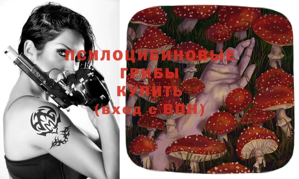 гашик Заводоуковск