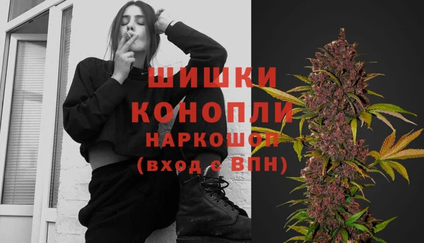 сатива Заволжье