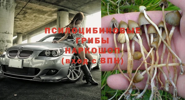 гашик Заводоуковск